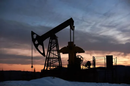 Эксперт Пасечник: Цена нефти может достичь $100 за баррель осенью