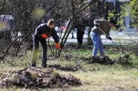 Благоустройство территорий включили в цели волонтерства