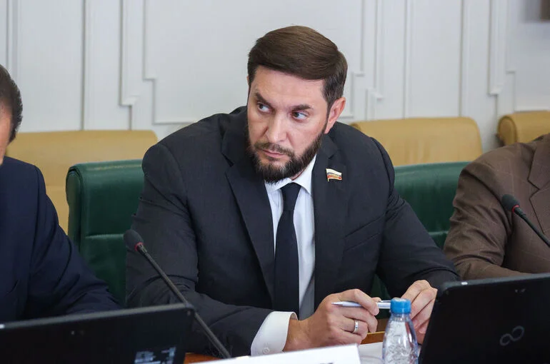 Сенатор Евстифеев: Закон об ИИ закладывает базовые понятия регулирования отрасли