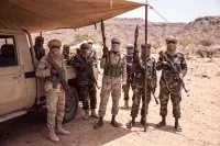 Эксперт: Киев поставляет беспилотники боевикам в Африке