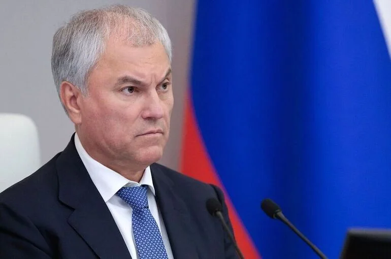 Володин призвал не политизировать топливную тему