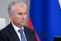 Володин призвал не политизировать топливную тему