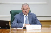 В Совфеде обсудили развитие парламентского сотрудничества с Малайзией