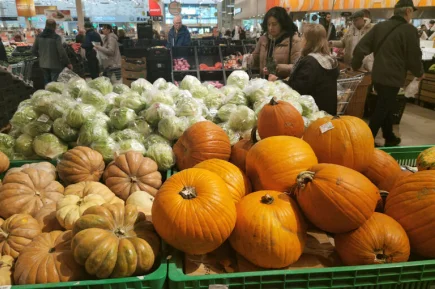 В России создадут единую систему контроля цен на продукты