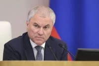 Володин: Каждый третий принятый Госдумой VIII созыва закон — социально ориентированный