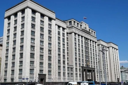 Госдума приняла закон о единой системе поддержки детских и молодежных НКО