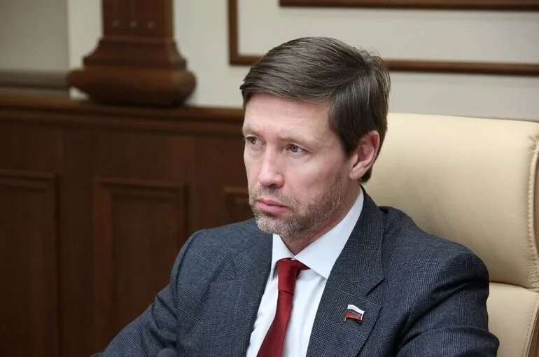 Сенатор Шейкин опроверг информацию о цифровом рубле как инструменте слежки
