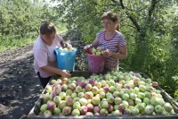 В России предложили создать единый реестр агроагрегаторов