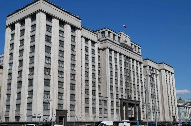 Госдума VIII созыва приняла 61 закон в сфере поддержки семей и защиты детей