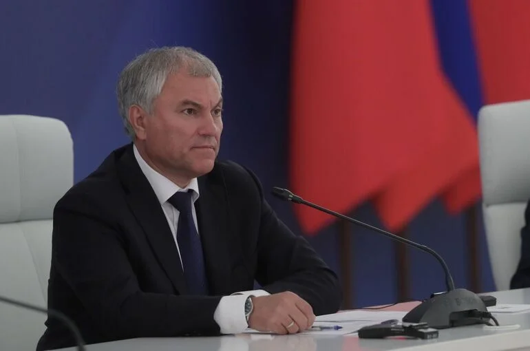 Володин: Число преступлений с использованием соцсетей в I полугодии сократилось на 58%