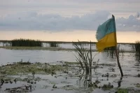 Экс-депутат рады: Зеленский будет расставлять людей на должности по принципу личной преданности