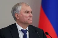 Володин: За нарушения при продаже сим-карт мигрантам начнет действовать уголовная ответственность