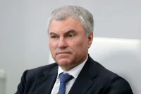 Володин заявил, что регионам есть над чем работать в сфере защиты детей от вейпов