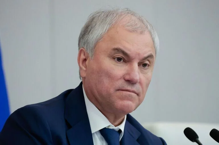 Володин: За год приобретенного гражданства РФ лишили свыше 4,5 тысячи человек