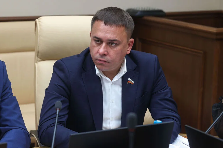 Сенатор Гибатдинов предложил оказывать господдержку детским писателям