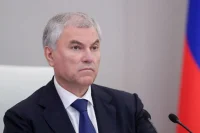Володин: Госдума с 2024 года приняла 32 закона в сфере миграционной политики