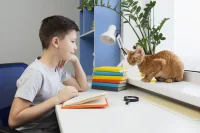 Снизить нагрузку на глаза и спину: как организовать рабочее место школьника дома