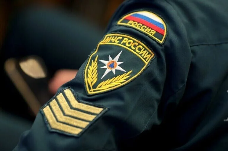«Ведомости»: Военным МЧС хотят разрешить применять силу и оружие