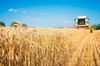 Россия в 1,4 раза повысит пошлину на экспорт пшеницы