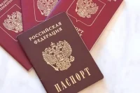 Восемь уроженцев Азии и Закавказья лишены гражданства за угрозу нацбезопасности