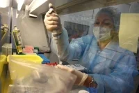 На границе России и Монголии зафиксировали высокую активность очага чумы