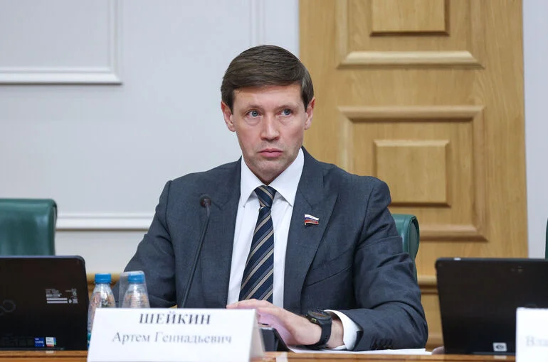 Сенатор Шейкин объяснил рост мошенничества с использованием дипфейков
