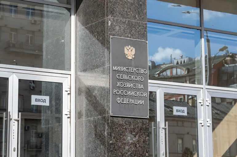 Минсельхоз перенастраивает экспорт на фоне трудностей с вывозом зерна