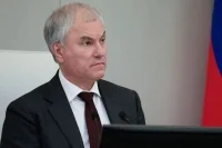 Володин: Госдума продолжает работу в части законотворческой деятельности