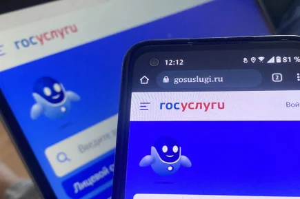 Более 3 млн россиян подали на «Госуслугах» заявки на участие в ДЭГ