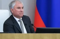 Володин призвал создавать условия для приобщения школьников к шахматам