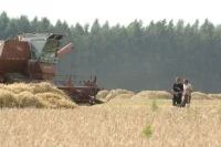 Латвия введет пошлины в 300% на транзит зерна из России и Белоруссии