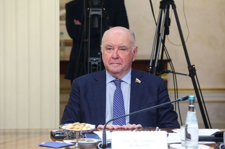 Сенатор Карасин назвал победу «АдГ» холодным душем для властей Германии