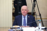 Сенатор Карасин назвал победу «АдГ» холодным душем для властей Германии