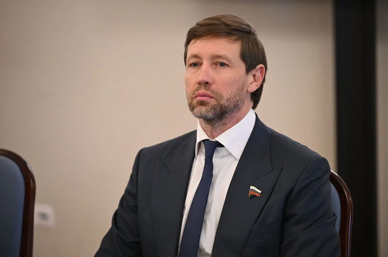Сенатор Шейкин призвал при госзакупках выбирать российские ИИ-решения
