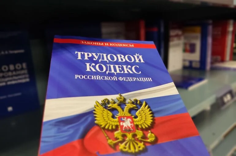Работодателей хотят обязать оплачивать сотрудникам в декрете курсы переподготовки
