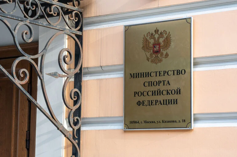 В законодательстве закрепят понятие «командный игровой вид спорта»