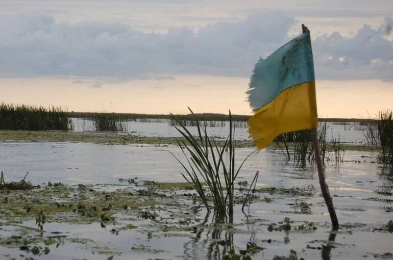 Политолог назвал Украину тотально коррумпированным государством