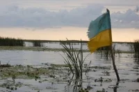 Политолог назвал Украину тотально коррумпированным государством