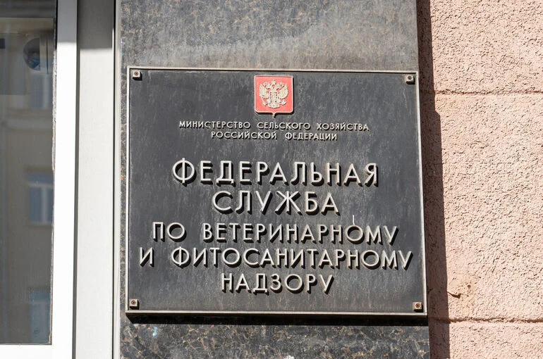 Россельхознадзор потребовал изъять серию вакцины, после прививки которой погибли собаки