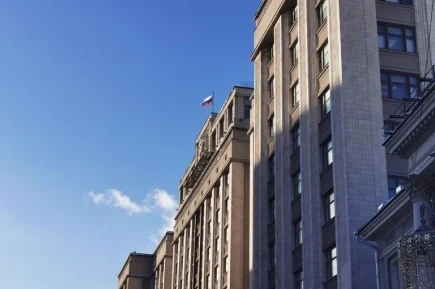 Выборы депутатов Госдумы IX созыва: главное