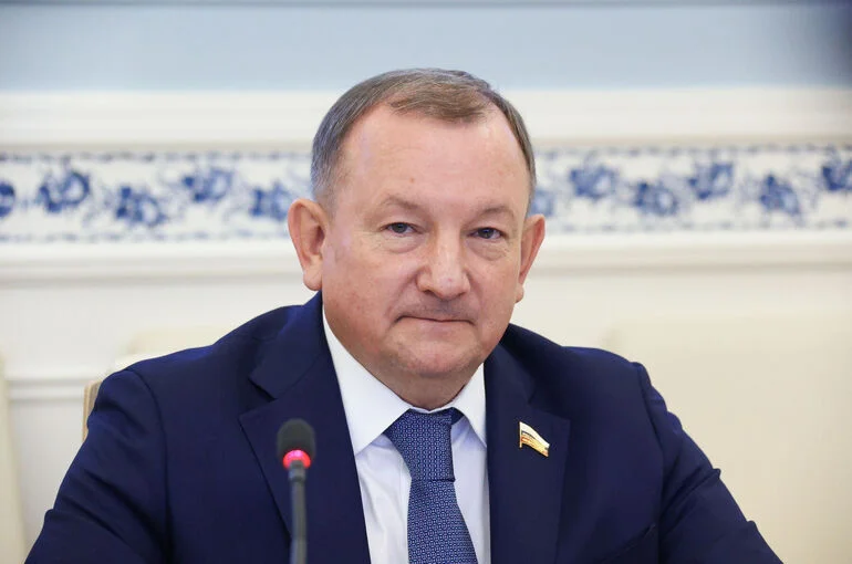 Сенатор Борщев предложил создать план развития межпарламентских связей  РФ и Алжира 