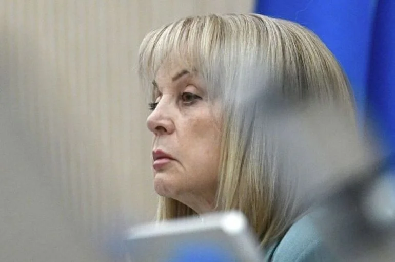Памфилова: Центризбирком распространяет ДЭГ на все регионы постепенно