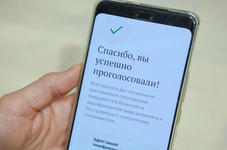 Явка на платформе онлайн-голосования достигла 90%