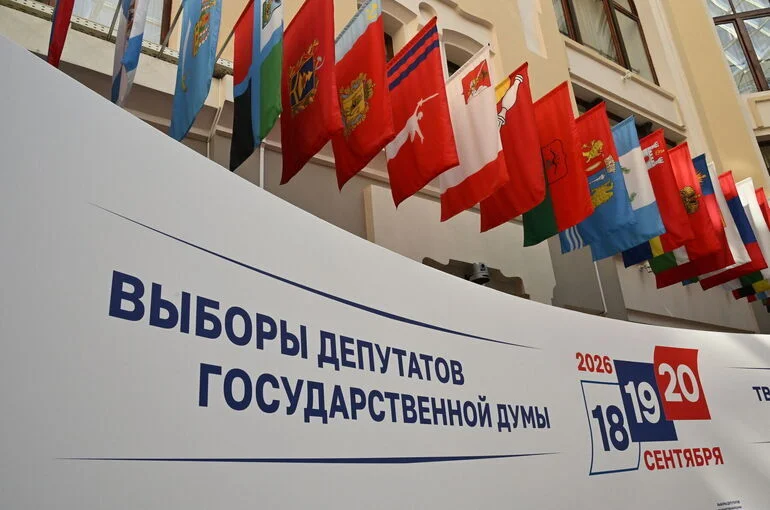 Итоговая явка на платформе ДЭГ составила 90,87%