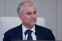 Володин: Легитимность избирательной кампании подтвердили международные наблюдатели