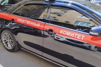 В минприроды Красноярского края прошли обыски из-за нападений медведей