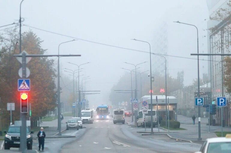 Метеоролог рассказал о природе радиационного тумана в Москве и Подмосковье