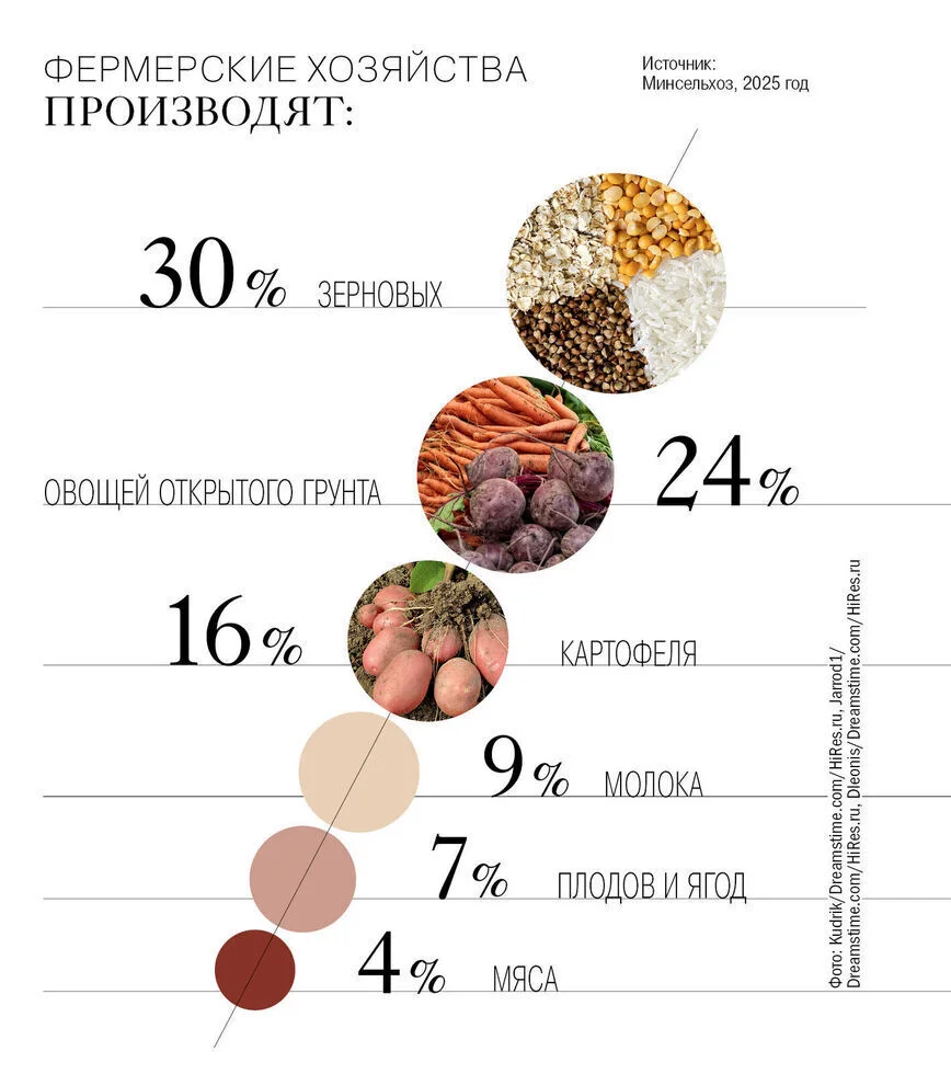 Ставка на фермера