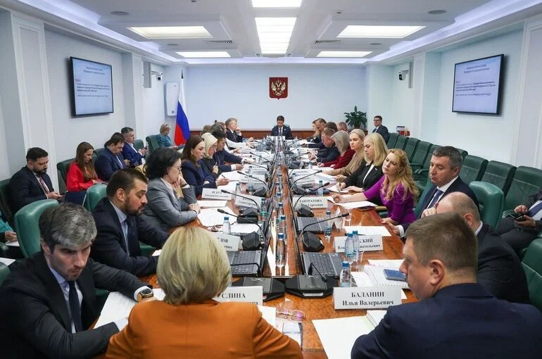 Комитет Совфеда рассмотрел проекты бюджетов Социального фонда и фонда ОМС на три года