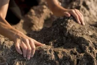 В Ленинградской области нашли крупнейший средневековый клад с серебром